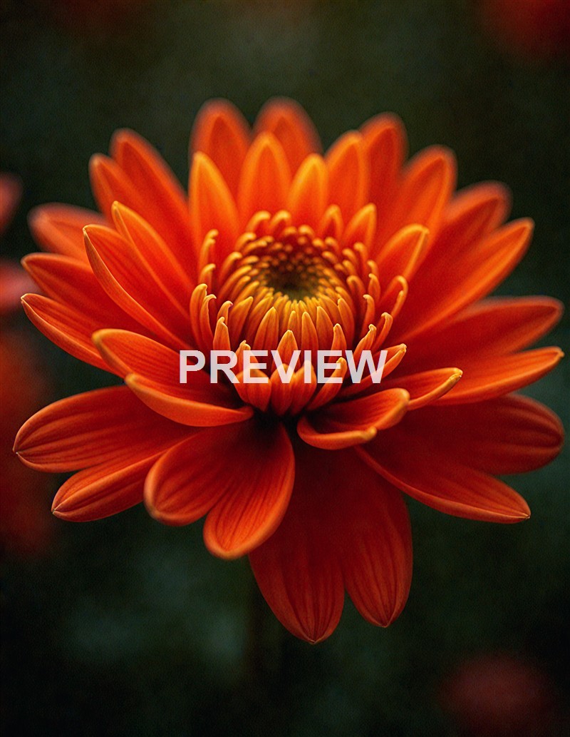 freepik__the-style-is-candid-image-photography-with-natural__81268_250322043326_Filename Text 2_00001_Filename Text 3_result